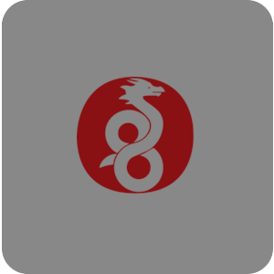The Wireguard logo